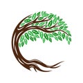 Round tree icon with leaves and roots.